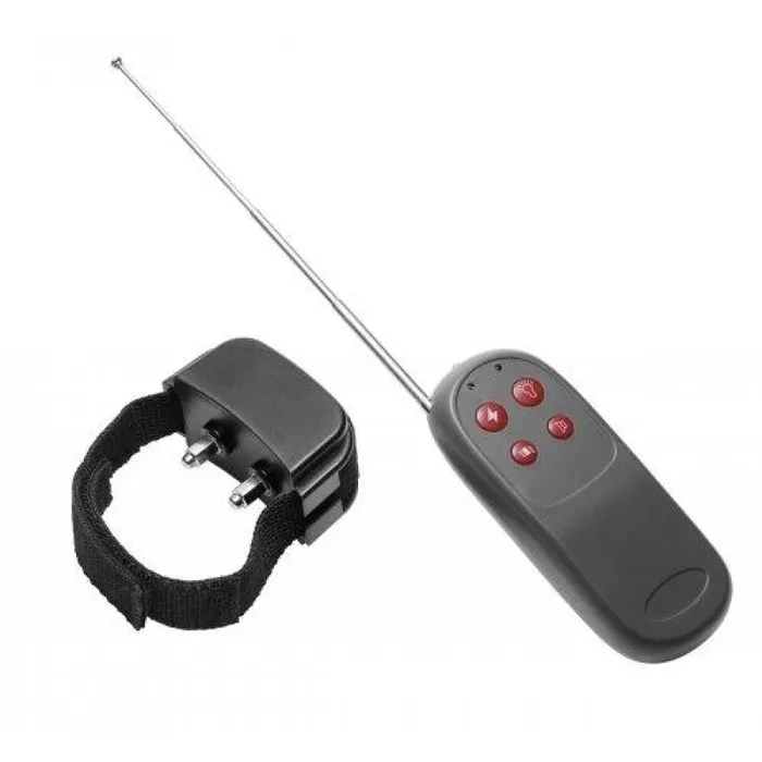 Male Sex Toys XR Brands Master Series Cock Shock Remote Cbt Electric Cock Ring Male Sex Toys XR Brands Master Series Cock Shock Remote Cbt Electric Cock Ring