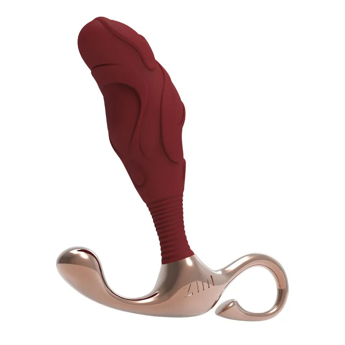 Zini Male Sex Toys | Zini Janus Lamp Iron - Large-(za516) Zini Male Sex Toys | Zini Janus Lamp Iron - Large-(za516)