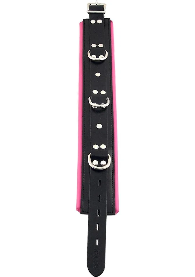 Rouge Male Sex Toys Rouge 3 DRing Padded Leather Adjustable Collar