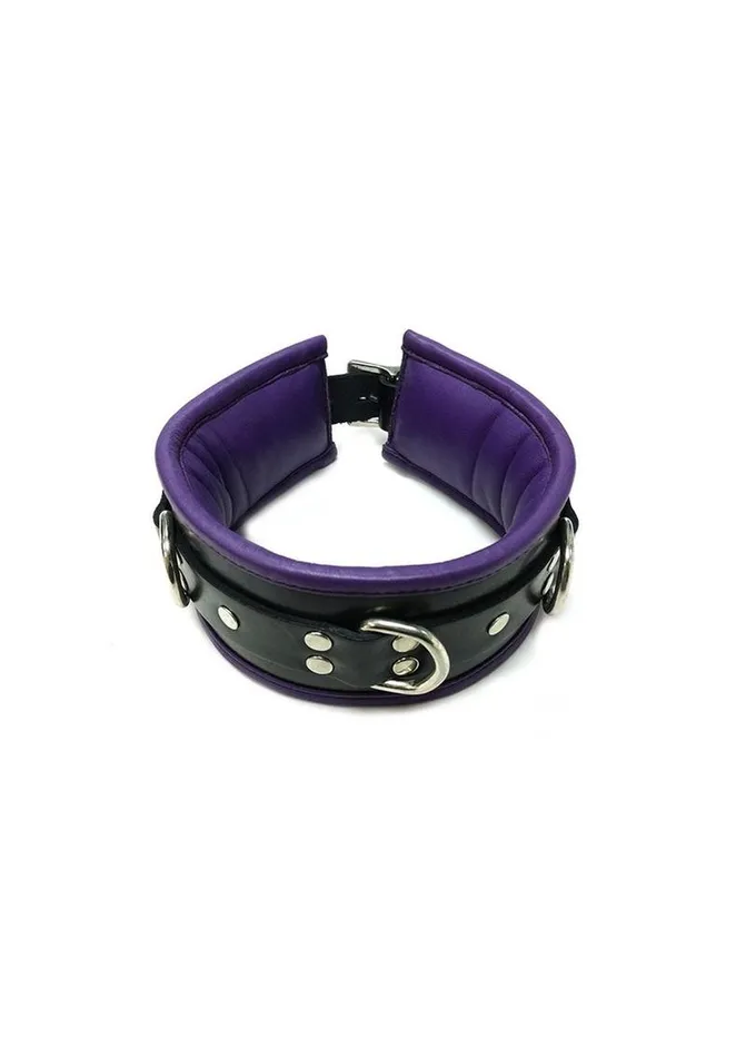 Rouge Male Sex Toys Rouge 3 DRing Padded Leather Adjustable Collar