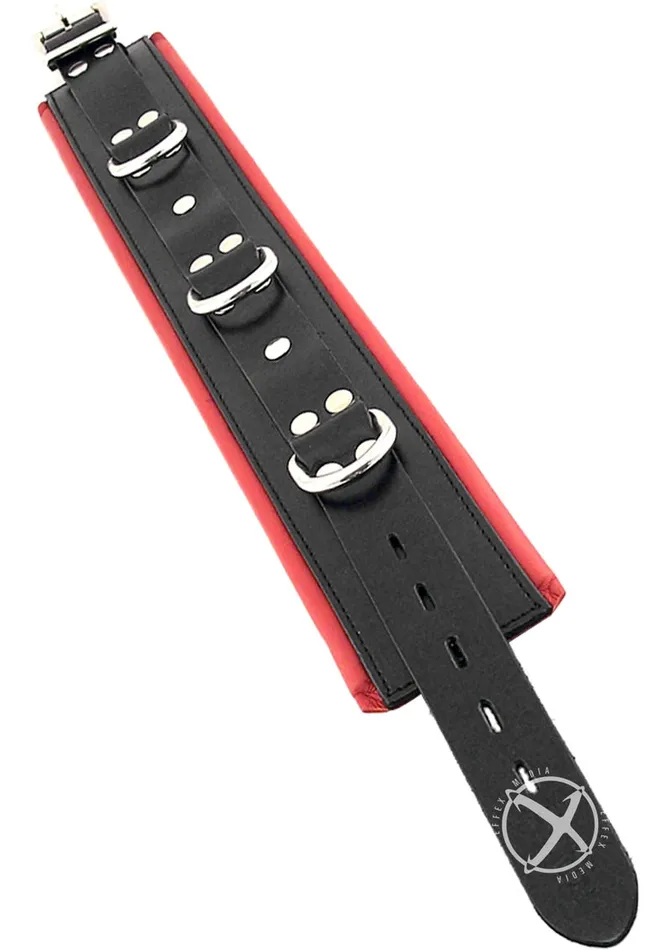 Rouge Male Sex Toys Rouge 3 DRing Padded Leather Adjustable Collar