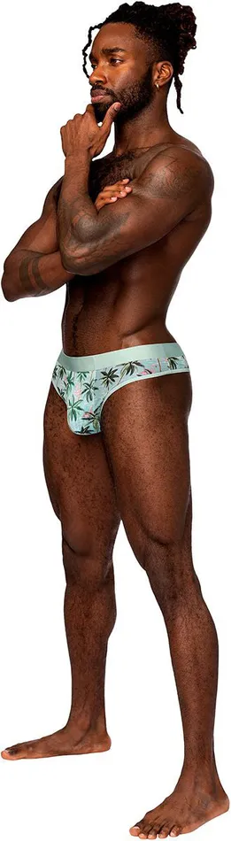 Sheer Print Sheer Thong Smallmedium Flamingo Male Power Male Sex Toys