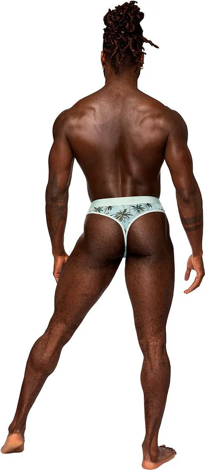 Sheer Print Sheer Thong Smallmedium Flamingo Male Power Male Sex Toys Sheer Print Sheer Thong Smallmedium Flamingo Male Power Male Sex Toys
